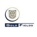 Gold Fields