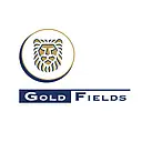 Gold Fields