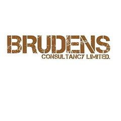 Brudens Consultancy logo